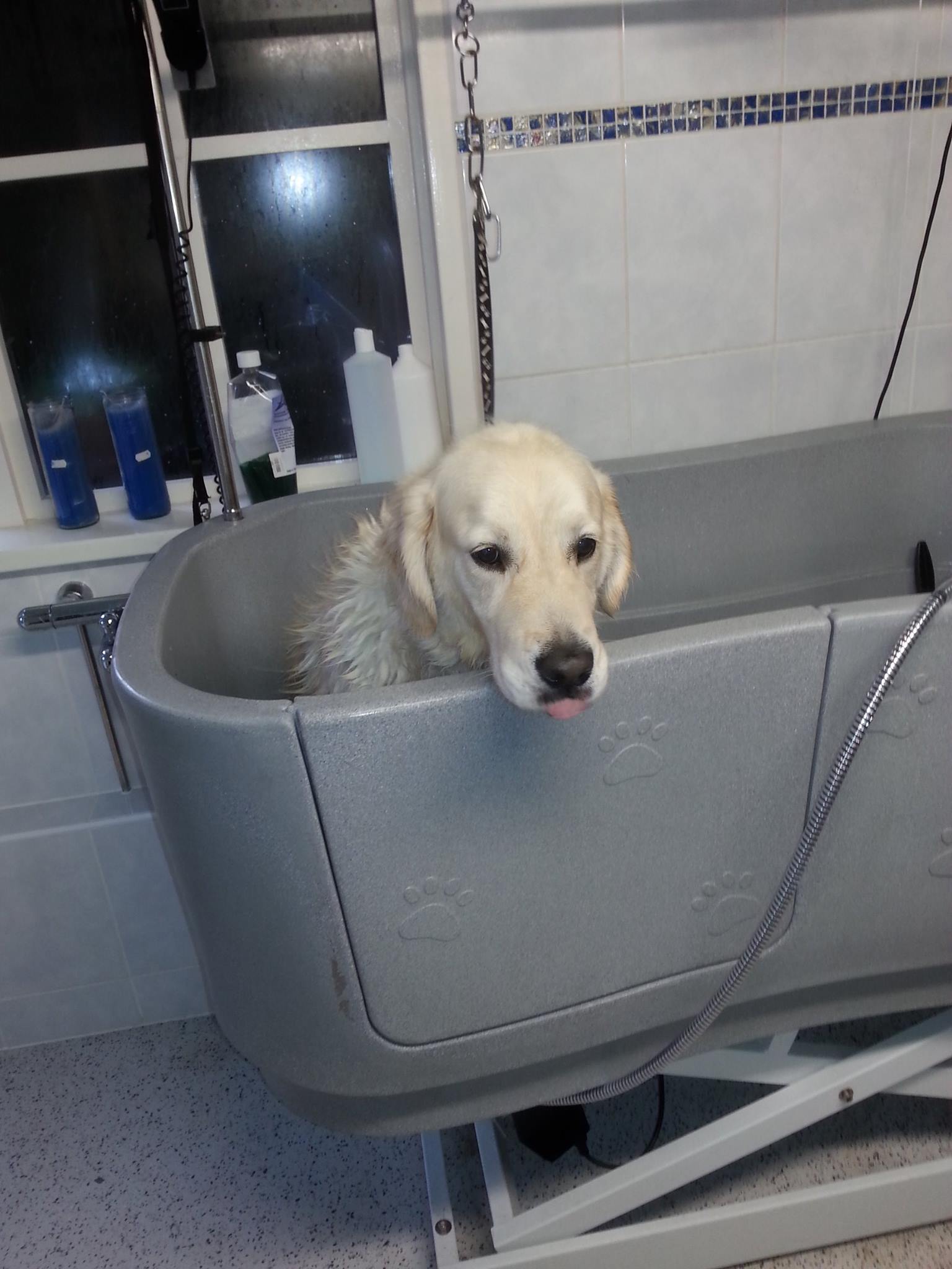 Erica aan het werk in de trimsalon